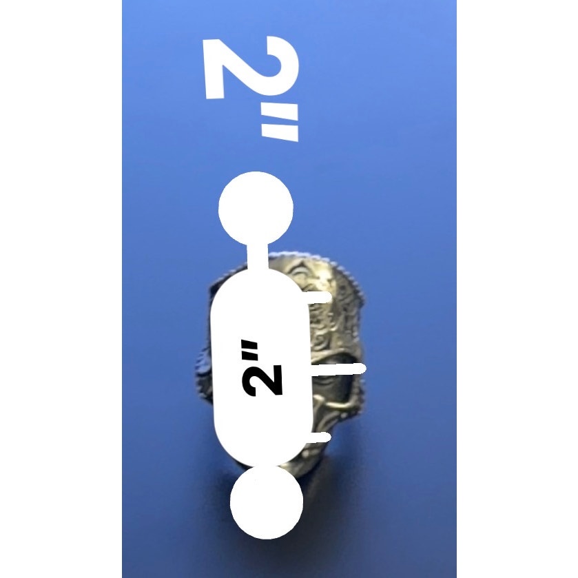 316L Stainless Steel SZ.11 Heavy Sugar Men Skull Ring 2” Santa Muerte